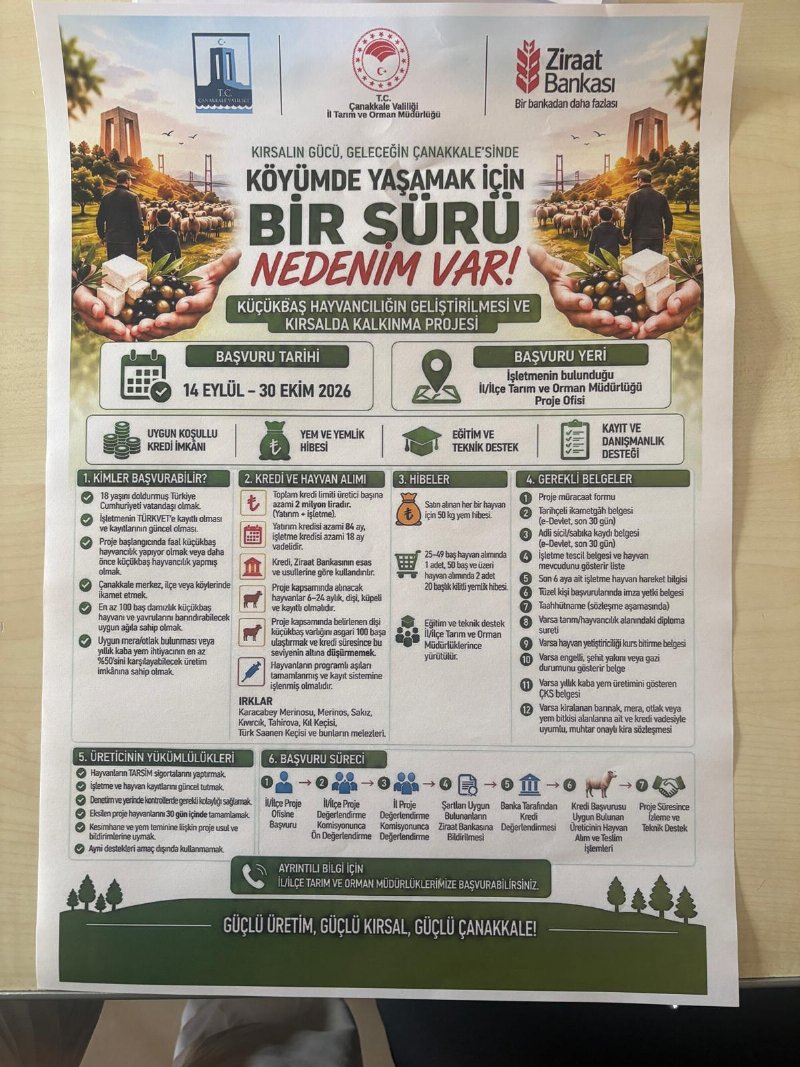 Küçükbaş hayvancılık projesi: başvurular 30 Ekim'e kadar